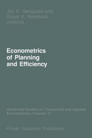 Könyv Econometrics of Planning and Efficiency Jati Sengupta
