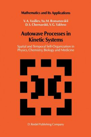 Kniha Autowave Processes in Kinetic Systems V.A. Vasiliev