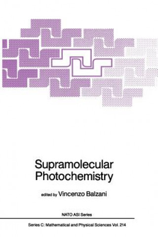 Könyv Supramolecular Photochemistry Vincenzo Balzani