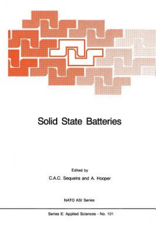 Kniha Solid State Batteries César A.C. Sequeira