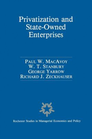 Könyv Privatization and State-Owned Enterprises Paul W. Macavoy