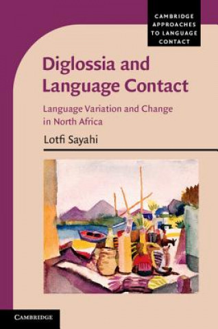 Книга Diglossia and Language Contact Lotfi Sayahi