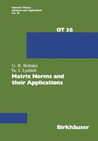 Kniha Matrix Norms and their Applications G. Belitskii