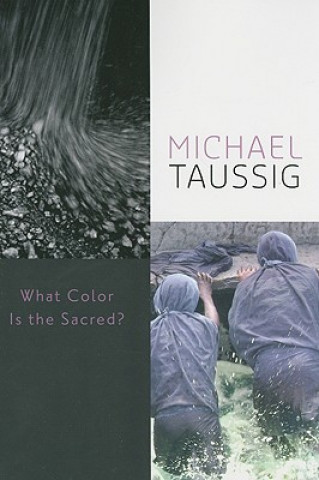 Kniha What Color Is the Sacred? Michael Taussig