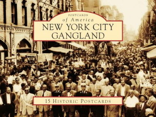 Buch New York City Gangland Arthur Nash