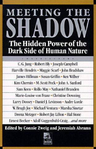 Книга Meeting the Shadow Connie Zweig