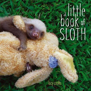 Kniha Little Book of Sloth Lucy Cooke