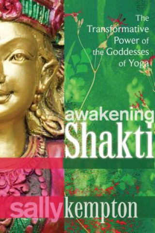 Book Awakening Shakti Sally Kempton