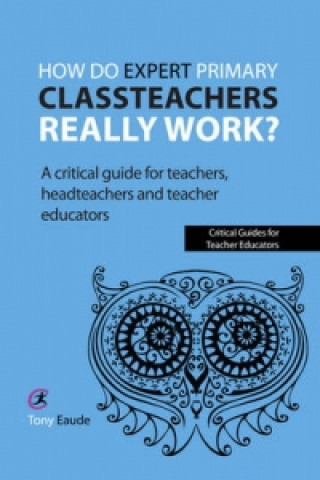 Kniha How do expert primary classteachers really work? Tony Eaude