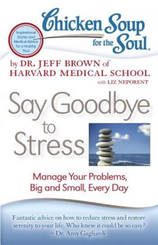 Livre Chicken Soup for the Soul: Say Goodbye to Stress Jeffrey Lowell Brown