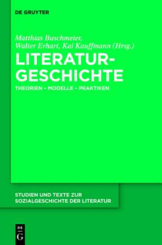 Książka Literaturgeschichte Matthias Buschmeier