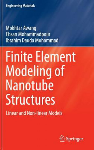 Carte Finite Element Modeling of Nanotube Structures Ehsan Mohammadpour