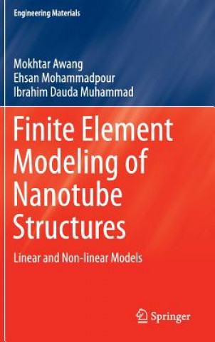 Kniha Finite Element Modeling of Nanotube Structures Ehsan Mohammadpour