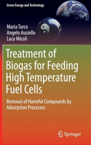 Kniha Treatment of Biogas for Feeding High Temperature Fuel Cells Maria Turco