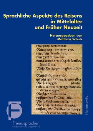 Könyv Sprachliche Aspekte des Reisens in Mittelalter und Früher Neuzeit Matthias Schulz