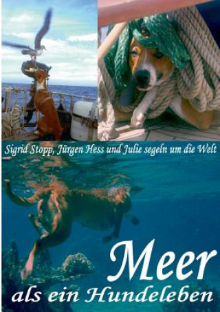 Buch Meer als ein Hundeleben Sigrid Stopp