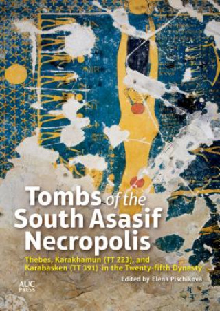 Книга Tombs of the South Asasif Necropolis Elena Pischikova