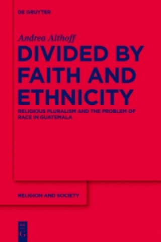 Kniha Divided by Faith and Ethnicity Andrea Althoff