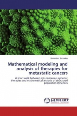 Книга Mathematical modeling and analysis of therapies for metastatic cancers Sebastien Benzekry