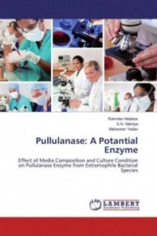 Kniha Pullulanase: A Potantial Enzyme Ramdas Malakar
