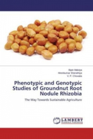 Carte Phenotypic and Genotypic Studies of Groundnut Root Nodule Rhizobia Bipin Malviya