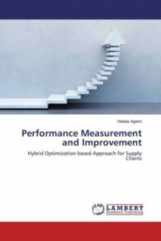 Kniha Performance Measurement and Improvement Nedaa Agami