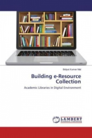 Knjiga Building e-Resource Collection Bidyut Kumar Mal