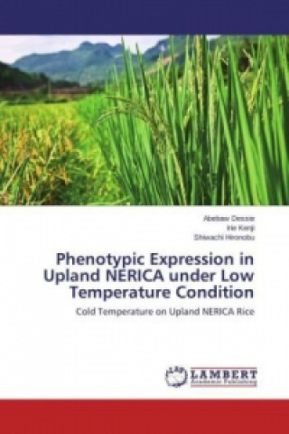 Carte Phenotypic Expression in Upland NERICA under Low Temperature Condition Abebaw Dessie