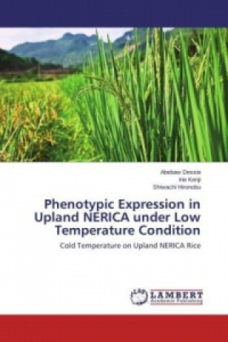 Książka Phenotypic Expression in Upland NERICA under Low Temperature Condition Abebaw Dessie