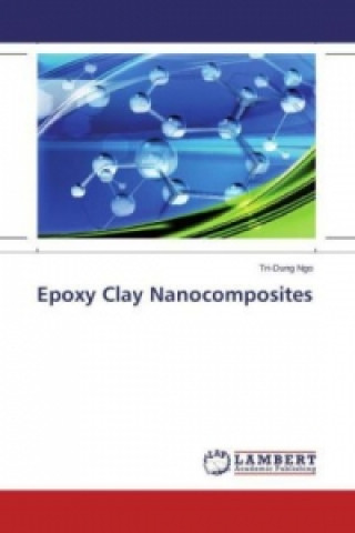 Książka Epoxy Clay Nanocomposites Tri-Dung Ngo