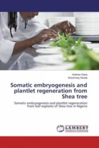 Kniha Somatic embryogenesis and plantlet regeneration from Shea tree Andrew Gana