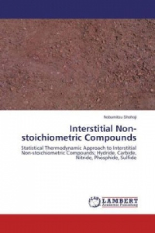 Könyv Interstitial Non-stoichiometric Compounds Nobumitsu Shohoji