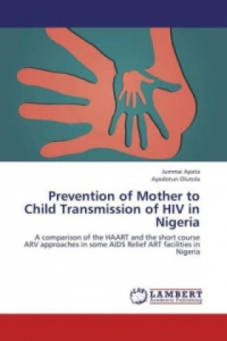 Kniha Prevention of Mother to Child Transmission of HIV in Nigeria Jummai Apata