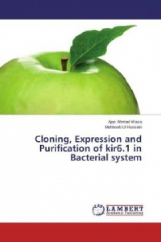 Buch Cloning, Expression and Purification of kir6.1 in Bacterial system Ajaz Ahmad Waza