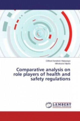 Kniha Comparative analysis on role players of health and safety regulations Clifford Kendrick Hlatywayo