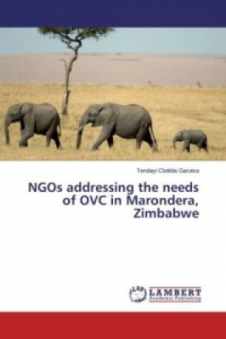 Libro NGOs addressing the needs of OVC in Marondera, Zimbabwe Tendayi Clotilda Garutsa