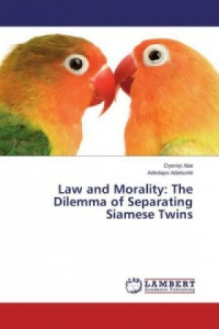 Könyv Law and Morality: The Dilemma of Separating Siamese Twins Oyeniyi Abe