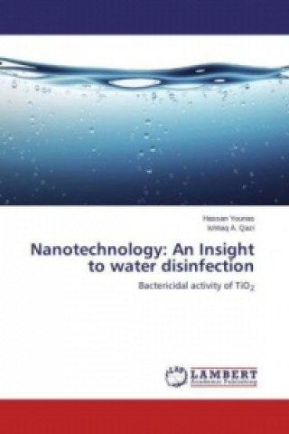 Libro Nanotechnology Hassan Younas