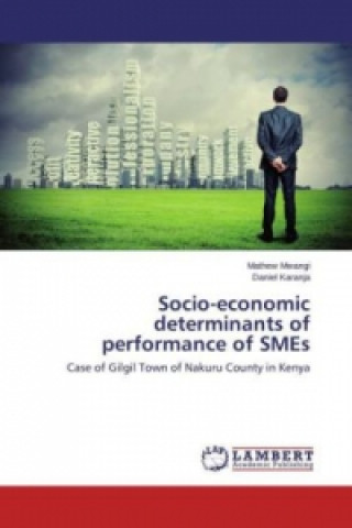 Книга Socio-economic determinants of performance of SMEs Mathew Mwangi