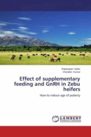 Książka Effect of supplementary feeding and GnRH in Zebu heifers Rajnarayan Yadav