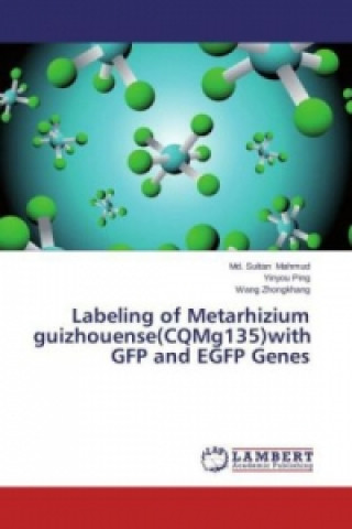 Książka Labeling of Metarhizium guizhouense(CQMg135)with GFP and EGFP Genes Md. Sultan Mahmud