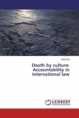 Könyv Death by culture: Accountability in international law Sibel Safi
