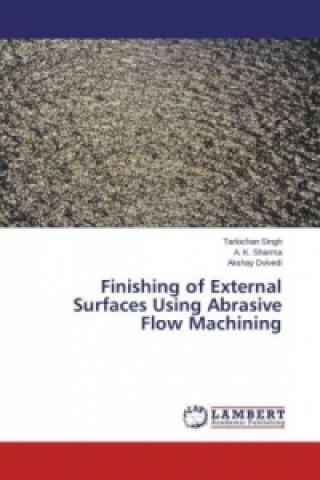 Kniha Finishing of External Surfaces Using Abrasive Flow Machining Tarlochan Singh