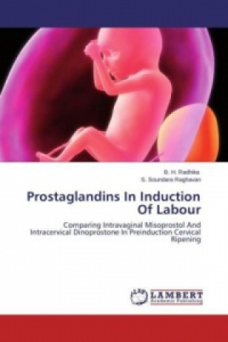 Kniha Prostaglandins In Induction Of Labour B. H. Radhika