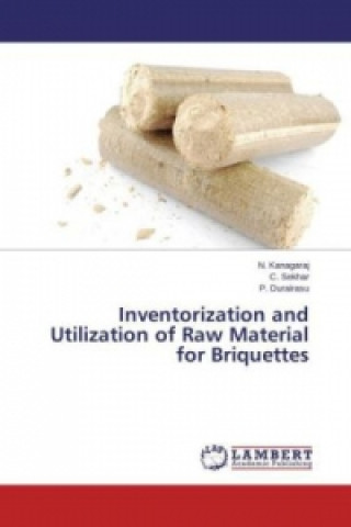 Kniha Inventorization and Utilization of Raw Material for Briquettes N. Kanagaraj