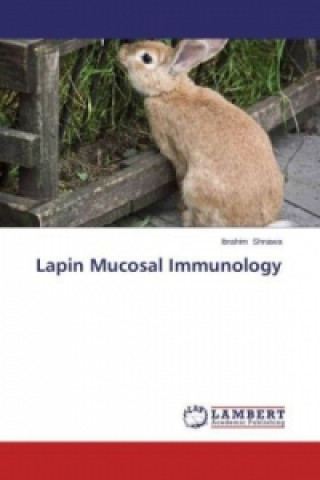 Kniha Lapin Mucosal Immunology Ibrahim Shnawa