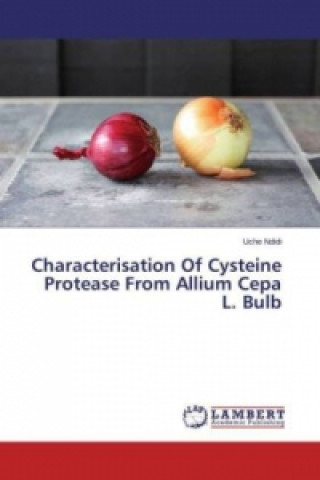 Könyv Characterisation Of Cysteine Protease From Allium Cepa L. Bulb Uche Ndidi