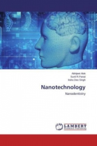 Buch Nanotechnology Abhijeet Alok