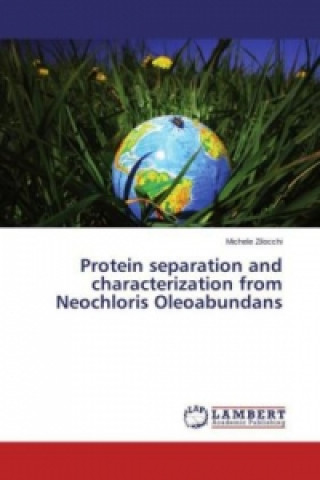Kniha Protein separation and characterization from Neochloris Oleoabundans Michele Zilocchi
