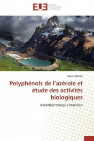 Kniha Polyphénols de l'azérole et étude des activités biologiques Manel Belkhir